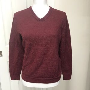 TASSO ELBA Burgundy V-Neck Merino Wool Long Sleeve Cozy Warm Sweater XL